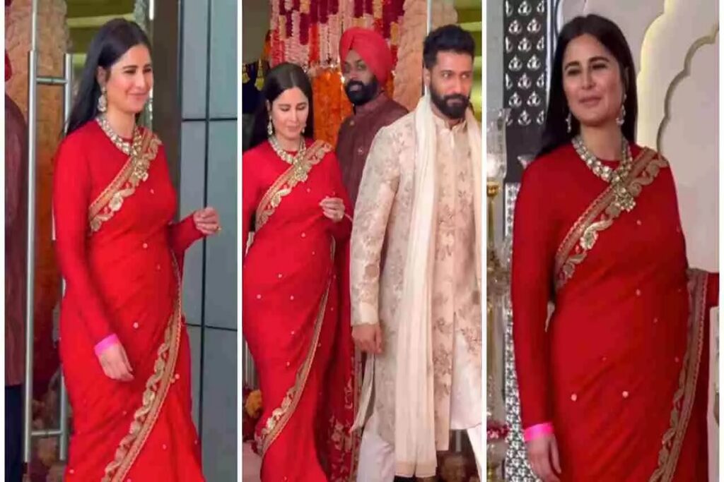 Katrina Kaif is pregnant?