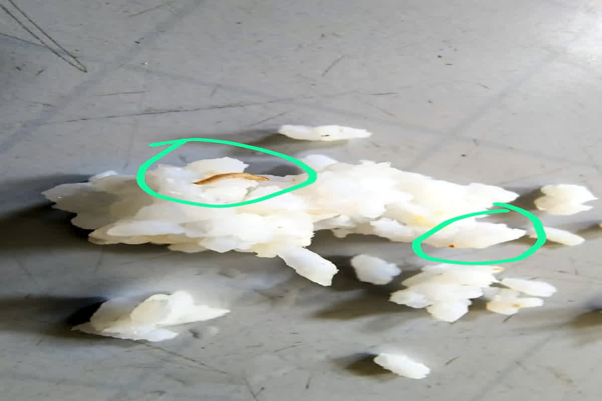 Chawal Me Mila Kida: हद हो गई… स्कूल के हॉस्टल में बच्चों को परोसा गया कीड़ों वाला खाना, मचा हड़कंप