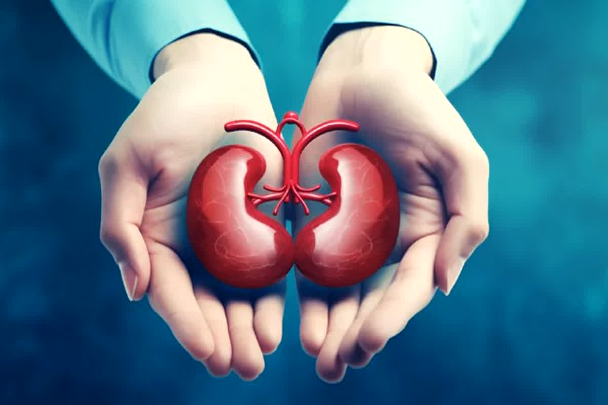 Free Kidney Liver Transplant: प्रदेशवासियों को मिली बड़ी सौगात, अब मुफ्त में होगा किडनी-लिवर ट्रांसप्लांट, CM ने किया बड़ा ऐलान…
