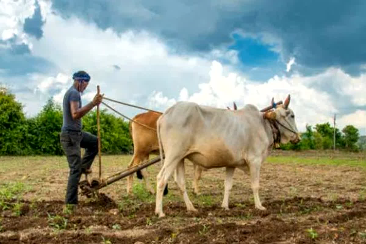 Kisan Karj Mafi Yojana New List: सावन में किसानों के लिए खुशखबरी, सरकार ने कर्ज माफी की नई सूची की जारी, जानें कैसे करें चेक?