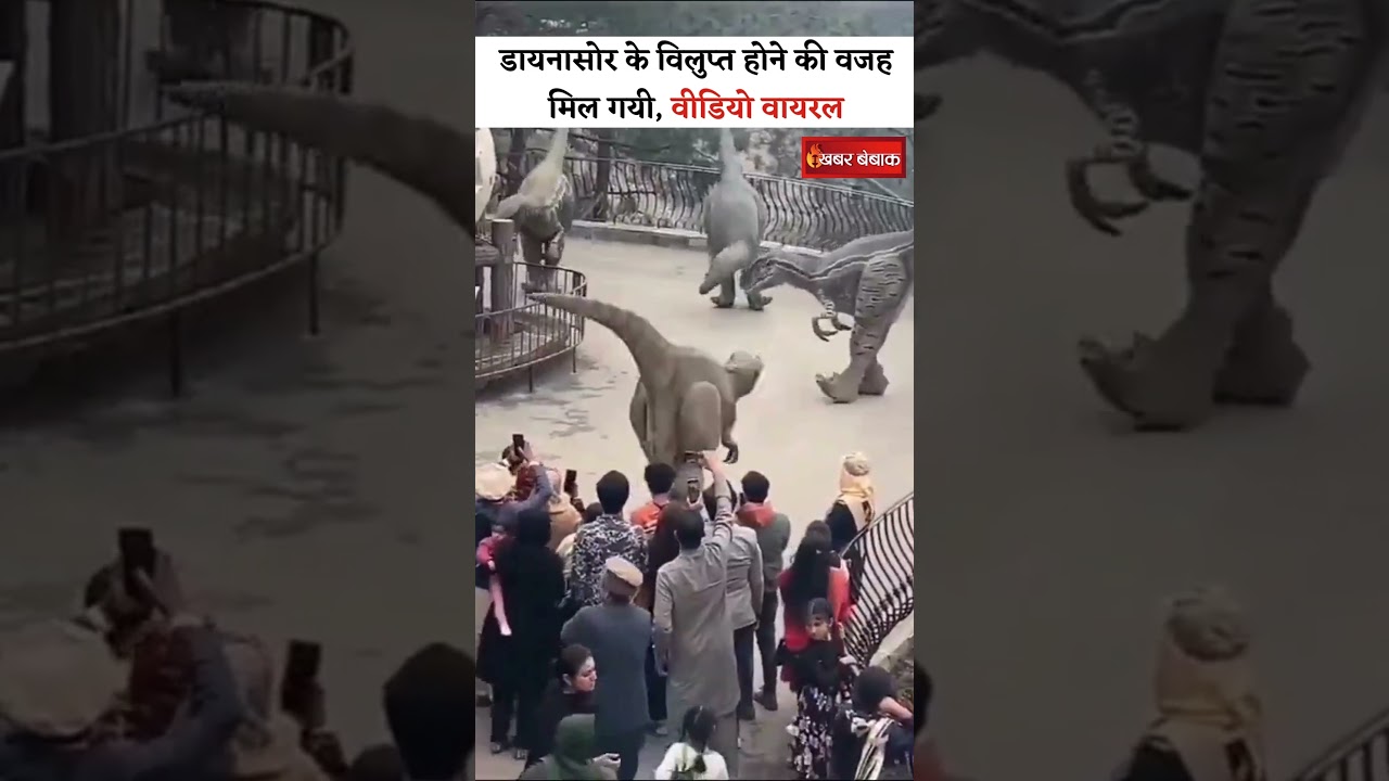 Dinosaur के विलुप्त होने की वजह मिल गयी, वीडियो हुआ वायरल #dinosaur #viralvideo #funny
