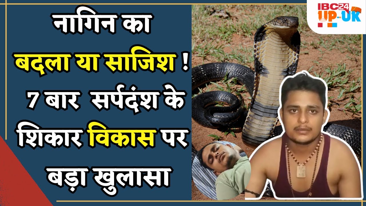 Fatehpur Snake bite news: 7 बार सर्पदंश के शिकार Vikas Dubey के मामले में नया मोड़