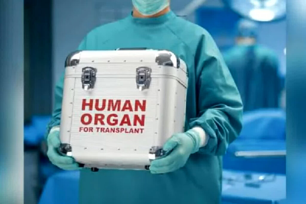 Organ Transplant Racket Busted