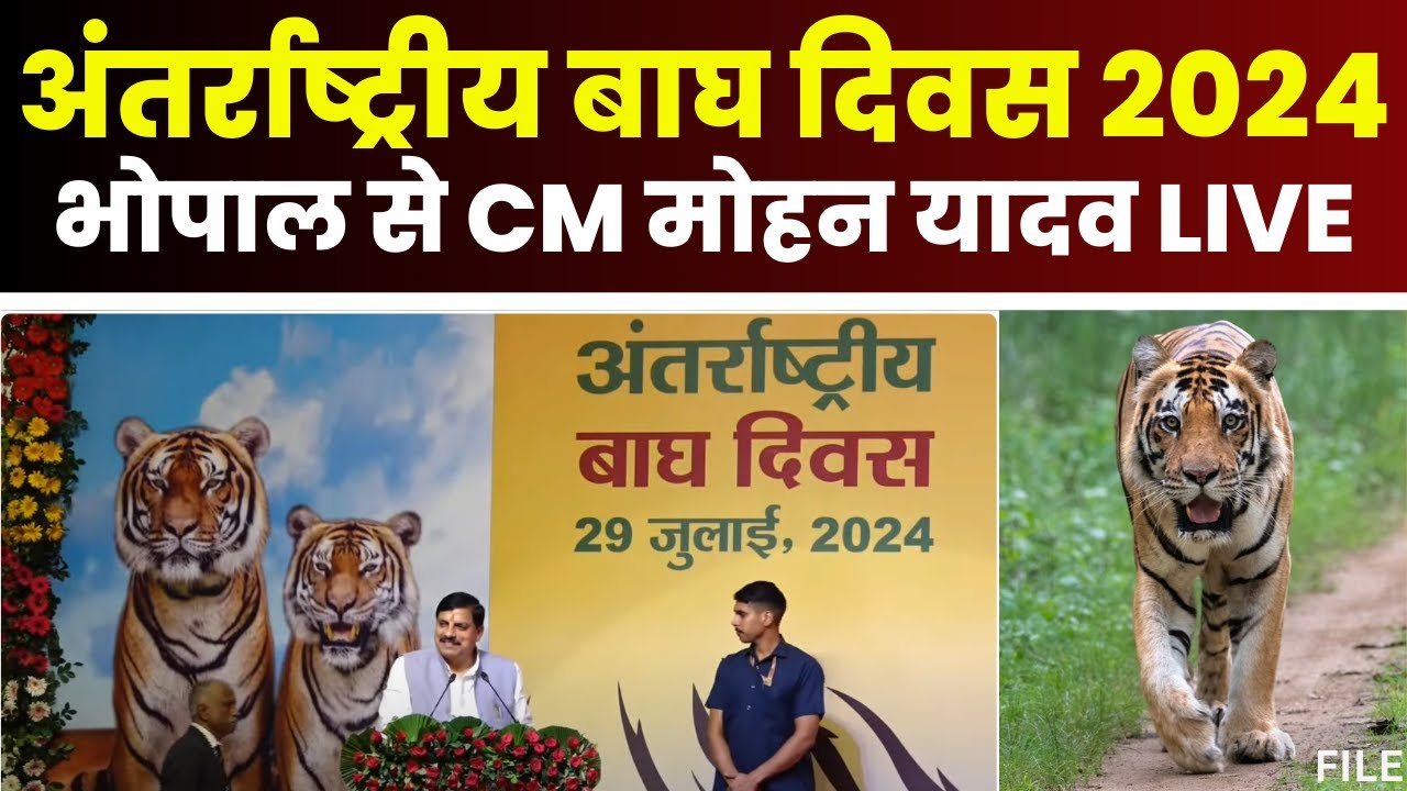 🔴LIVE: बाघ दिवस पर Tiger State में विशेष कार्यक्रम। CM Mohan Yadav Live | World Tiger Day 2024