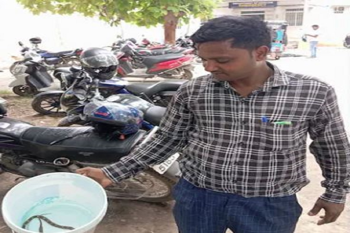 पत्नी के साथ ही सांप को भी लेकर अस्पताल पहुंचा पति, बोला- डॉक्टर साहब इसी ने काटा है