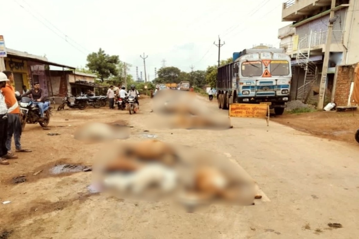 Tilda Cow Death: सड़क पर बिछी गोवंशों की लाशें.. अज्ञात वाहन ने दर्जनों गायों को कुचला, अक्रोशित ग्रामीणों ने किया चक्काजाम