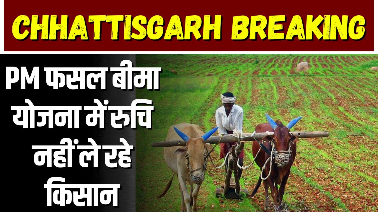 PM Fasal Bima Yojana में रुचि नहीं ले रहे Raigarh के किसान। टारगेट पूरा नहीं कर पा रहा विभाग