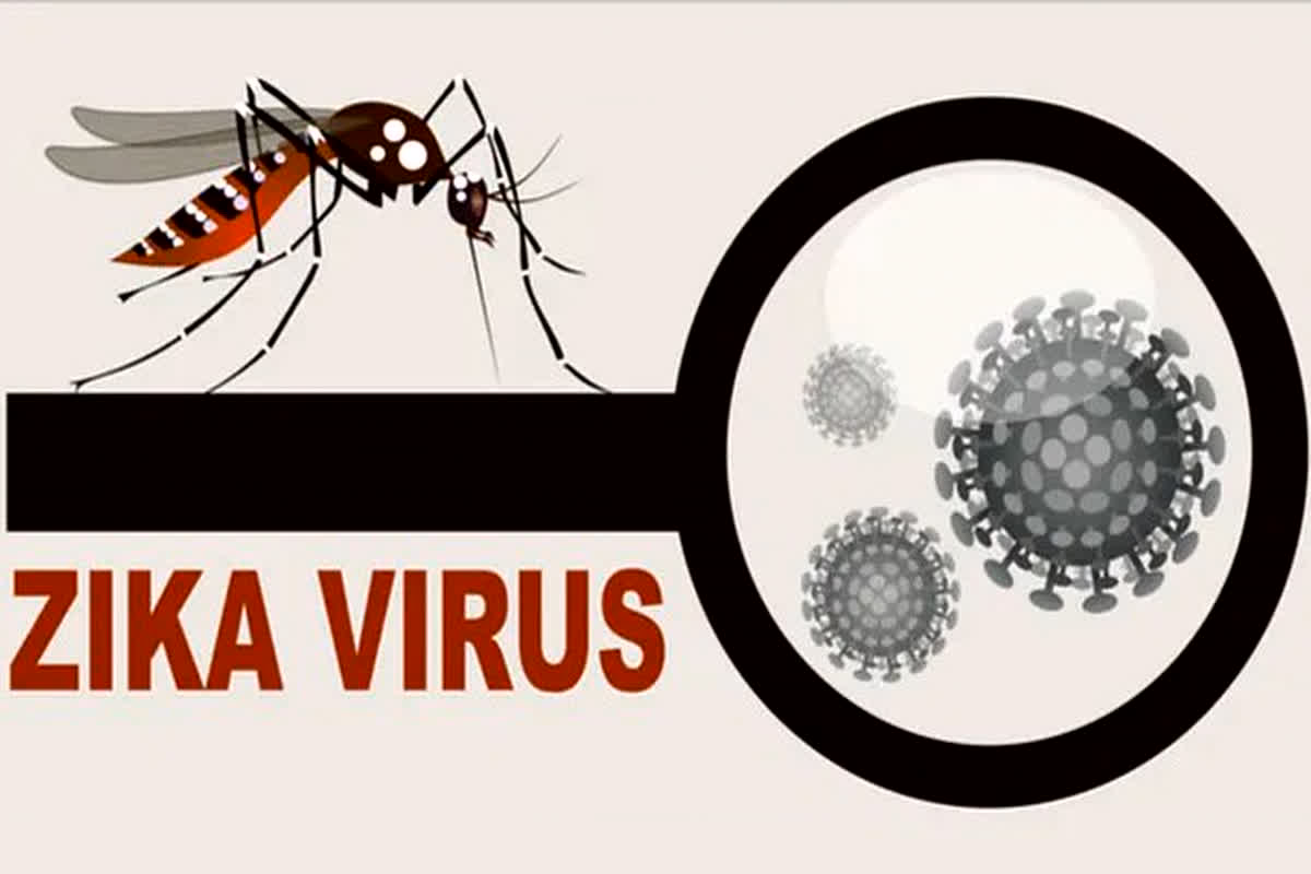 Zika Virus: मानसून के बीच बढ़ता जा रहा जीका वायरस का खतरा, 3 और नए मामले आए सामने, लोगों में फैली दहशत