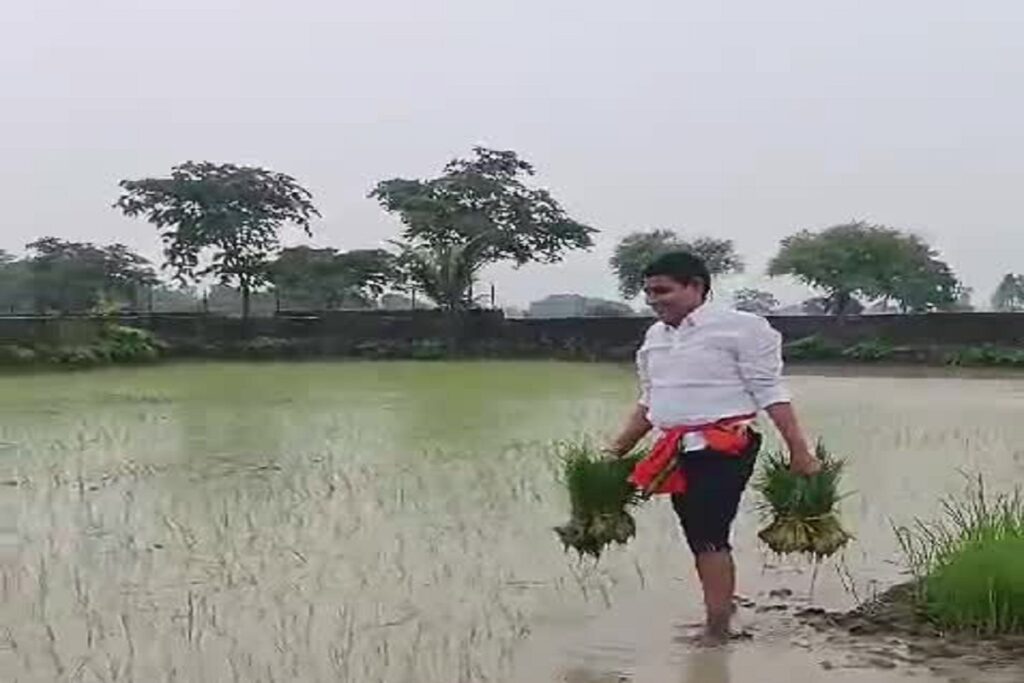 Tankaram Verma planting paddy