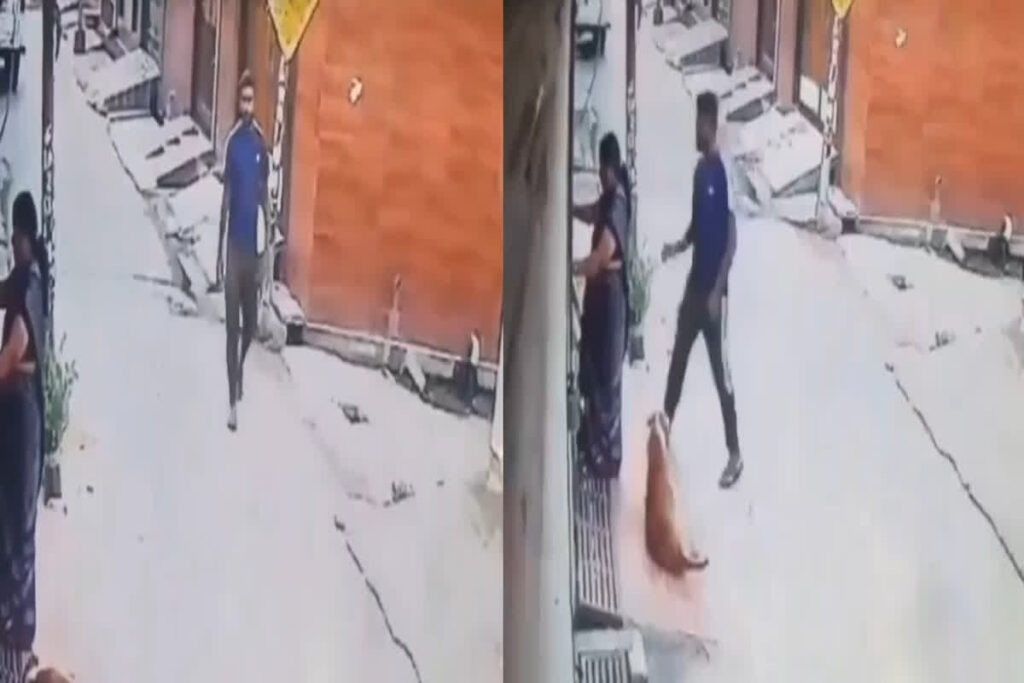 Chain snatching in Muzaffarnagar