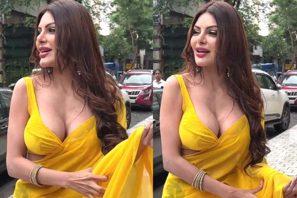 Watch Online Sherlyn Chopra in Pink Bra and White Saree Latest HD Video