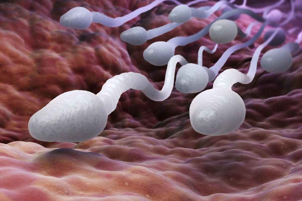 Sperm Count Increase: अब आसानी से बढ़ सकेगा आपका स्पर्म काउंट.. वैज्ञानिकों ने बताया यह आसान तरीका, आप भी अपनाएं..