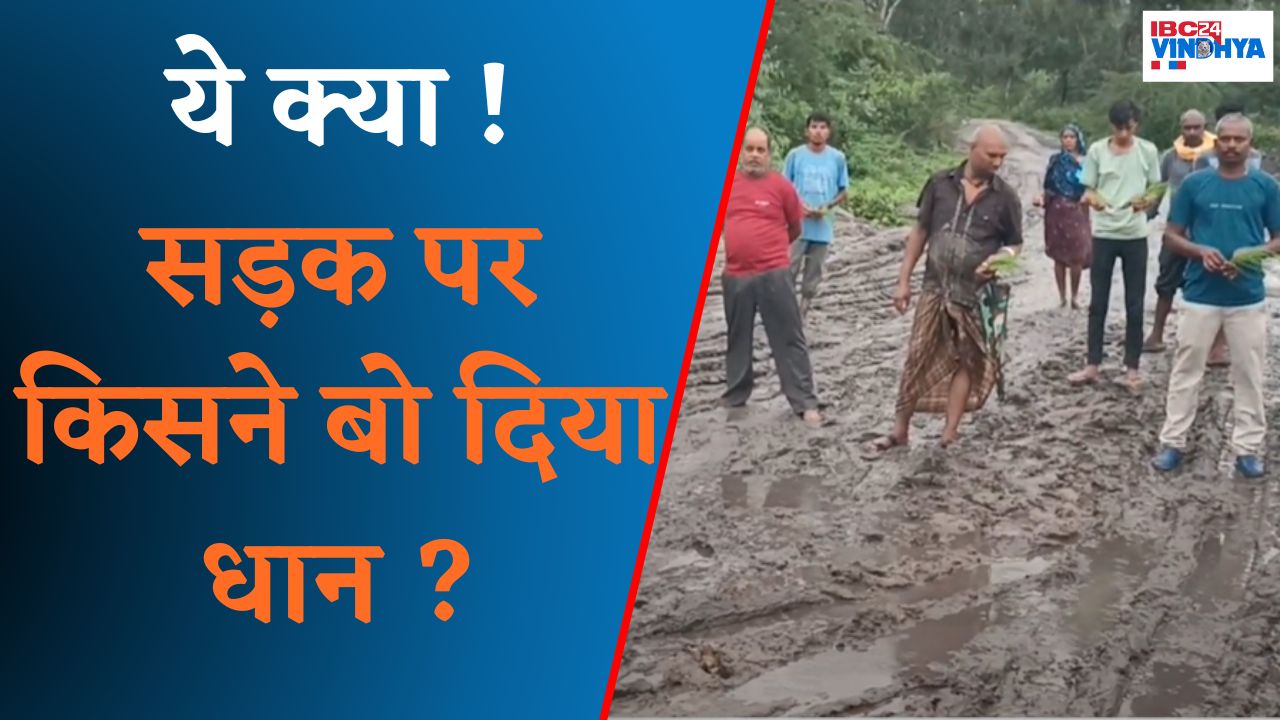 Anuppur: अनोखा विरोध प्रदर्शन! कीचड़ से लथपथ सड़क पर ग्रामीणों ने की खेती, धान रोप कर जताया विरोध