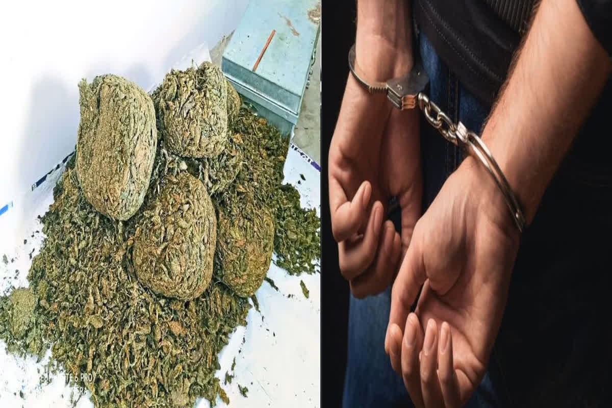 CG Ganja Smuggling: अंतरराज्यीय गांजा तस्करी के बड़े रैकेट का भंडाफोड़, ओडिशा से ऐसे हो रही थी गांजे की सप्लाई, मुख्य सरगना समेत 8 लोग पकड़ाए