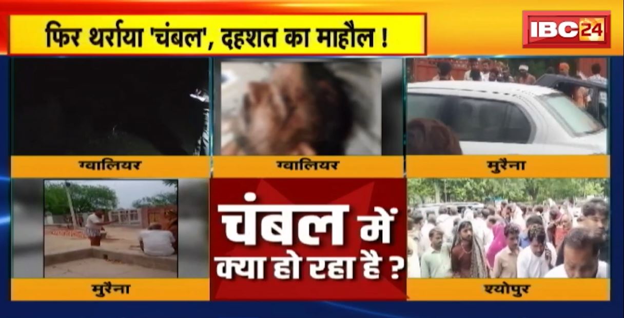 Gwalior-Morena Crime News: फिर थर्राया ‘चंबल’ दहशत का माहौल! ग्वालियर-मुरैना में ‘डर’ लगता है! देखिए रिपोर्ट..