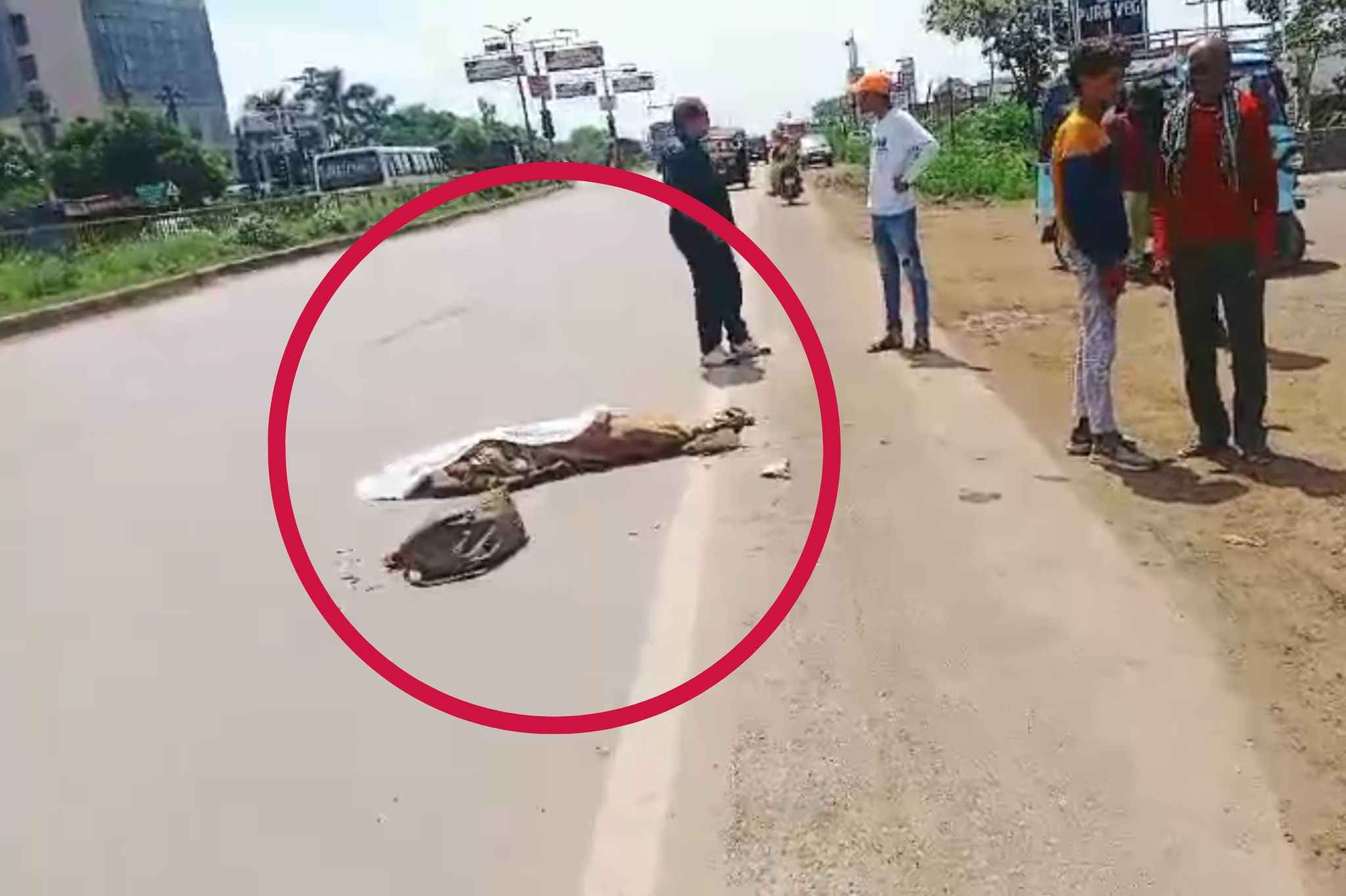 Rajnandgaon Accident News: रक्षाबन्धन पर सूनी रह गई भाई की कलाई.. बहन को तेज रफ्तार ट्रक ने रौंदा, मौके पर ही तोड़ दिया दम