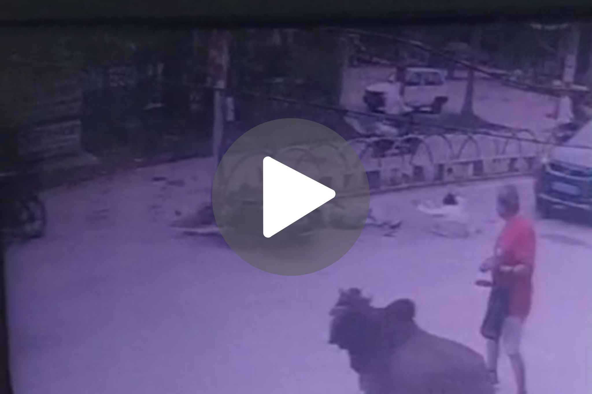 Bhilai Road Accident Live Video: भिलाई में दर्दनाक सड़क हादसा.. डिवाइडर से टकराई एक्टिवा फिर शख्स को कार ने रौंदा, मौत.. यहां देखे CCTV फुटेज