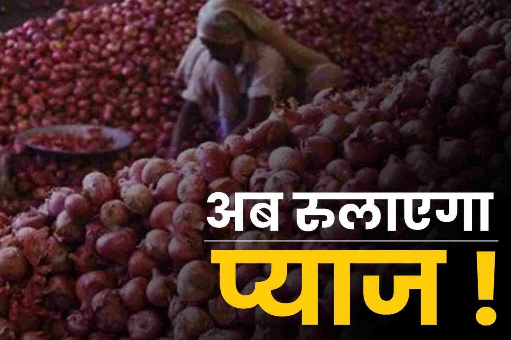 Onion prices rise in India's markets