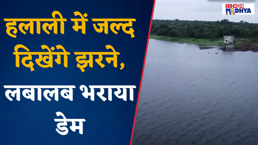 Halali Dam In Vidisha