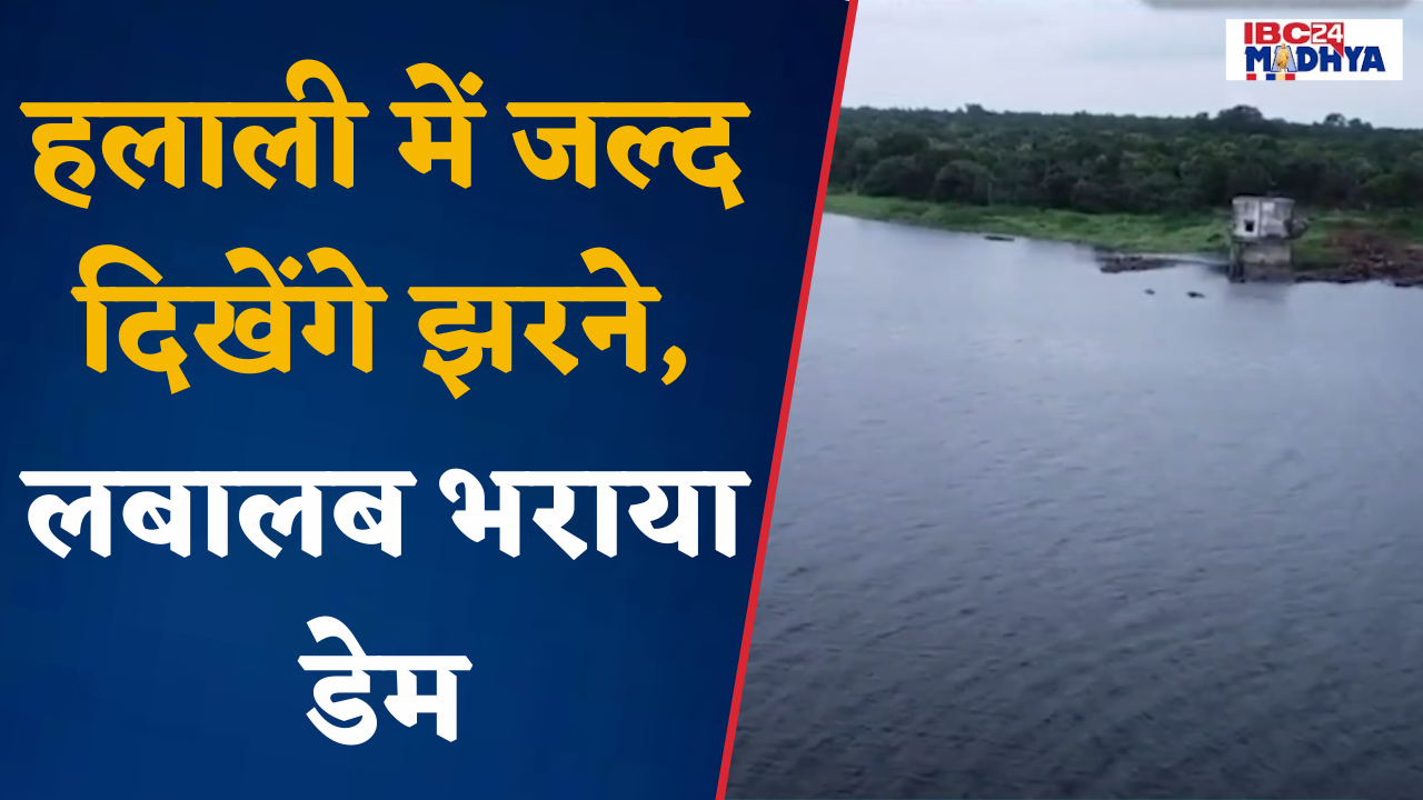 Vidisha: लगातार हो रही बारिश के बाद लबालब भरा Halali Dam, दिखा आकर्षक नजारा |