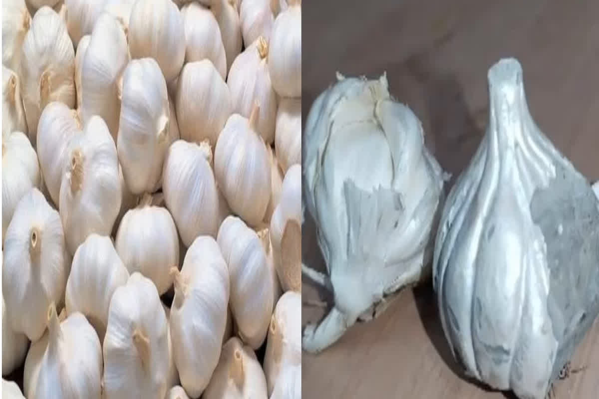 Cement wala Lahsun: सावधान..! कहीं आपने भी तो नहीं खरीद लिया सीमेंट वाला लहसुन, सब्जीवाले ऐसे लगा रहे चूना