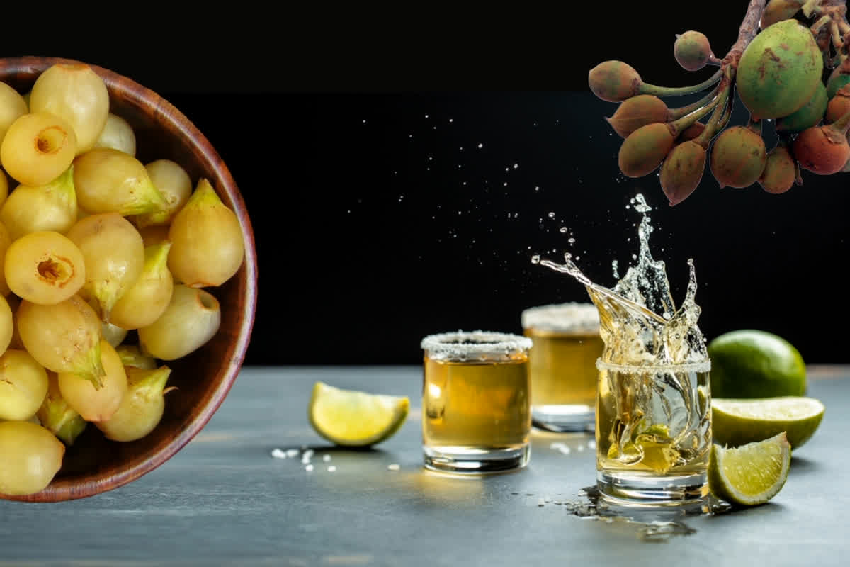 Mahua Daru Available in Bar: अब बार में भी मिलेगी महुआ दारू, घर में भी रख सकेंगे 4 बोतल, सरकार ने नई आबकारी नीति में किया प्रावधान