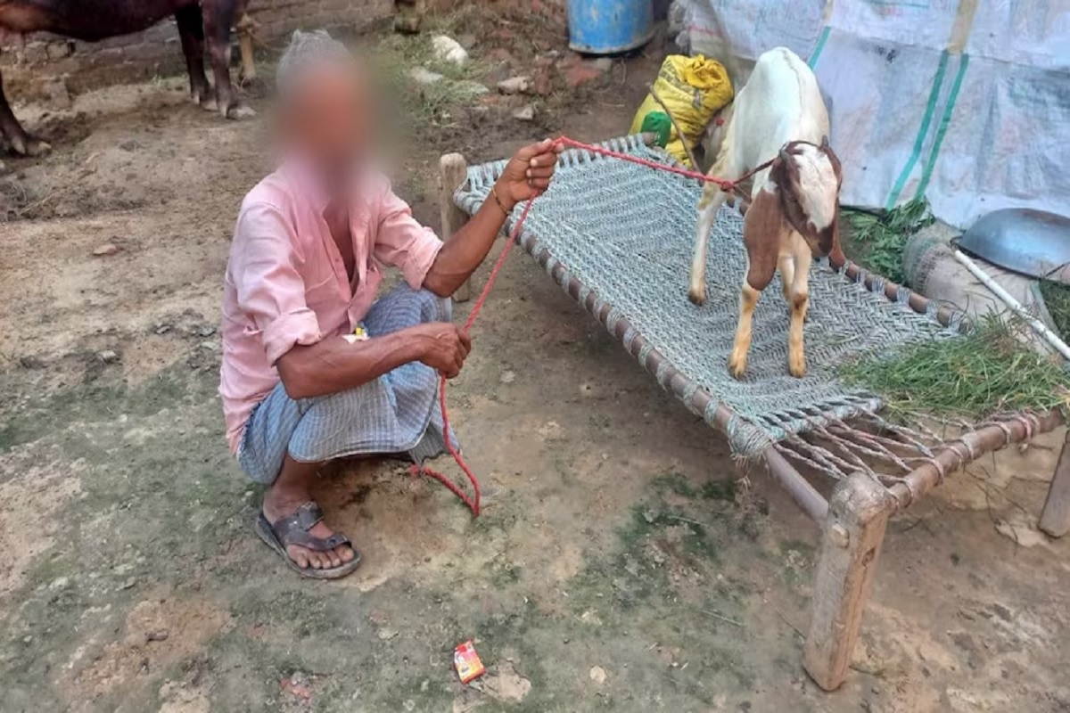 Young Men Sex with Goat: हवस की भूख मिटाने शख्स ने बकरी से किया दुष्कर्म, जानवर की हालत देख मालिक भी रह गया दंग