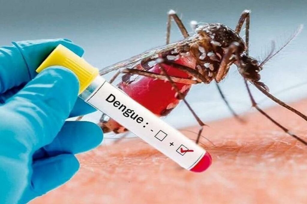 Dengue Outbreak In Indore