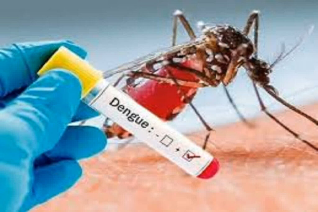 Dengue Outbreak In Raigarh