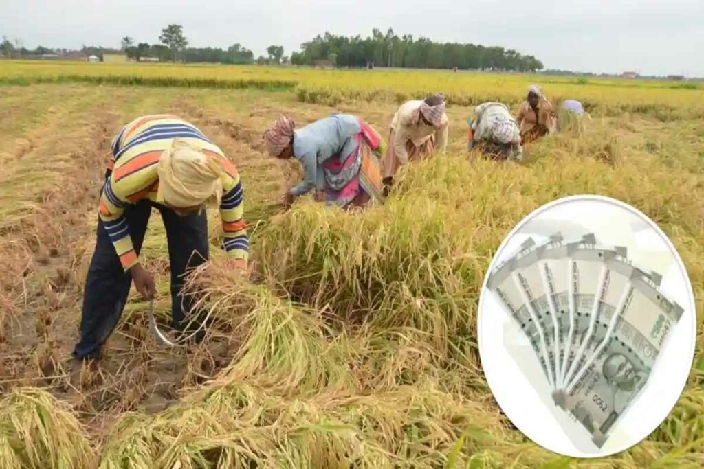 Paddy Bonus Increase Order by Telangana Govt