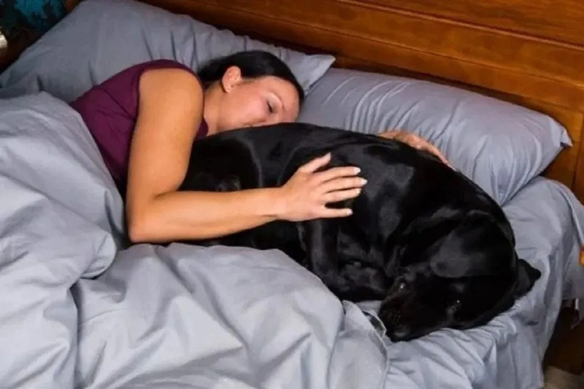 Dog ke sath sex karti ladki