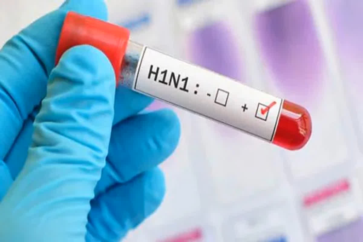 Swine Flu Deaths In CG: जिले में स्वाइन फ्लू का कहर जारी, बुजुर्ग की मौत से इलाके में मचा हड़कंप, अब तक सामने आ चुके हैं 107 मरीज