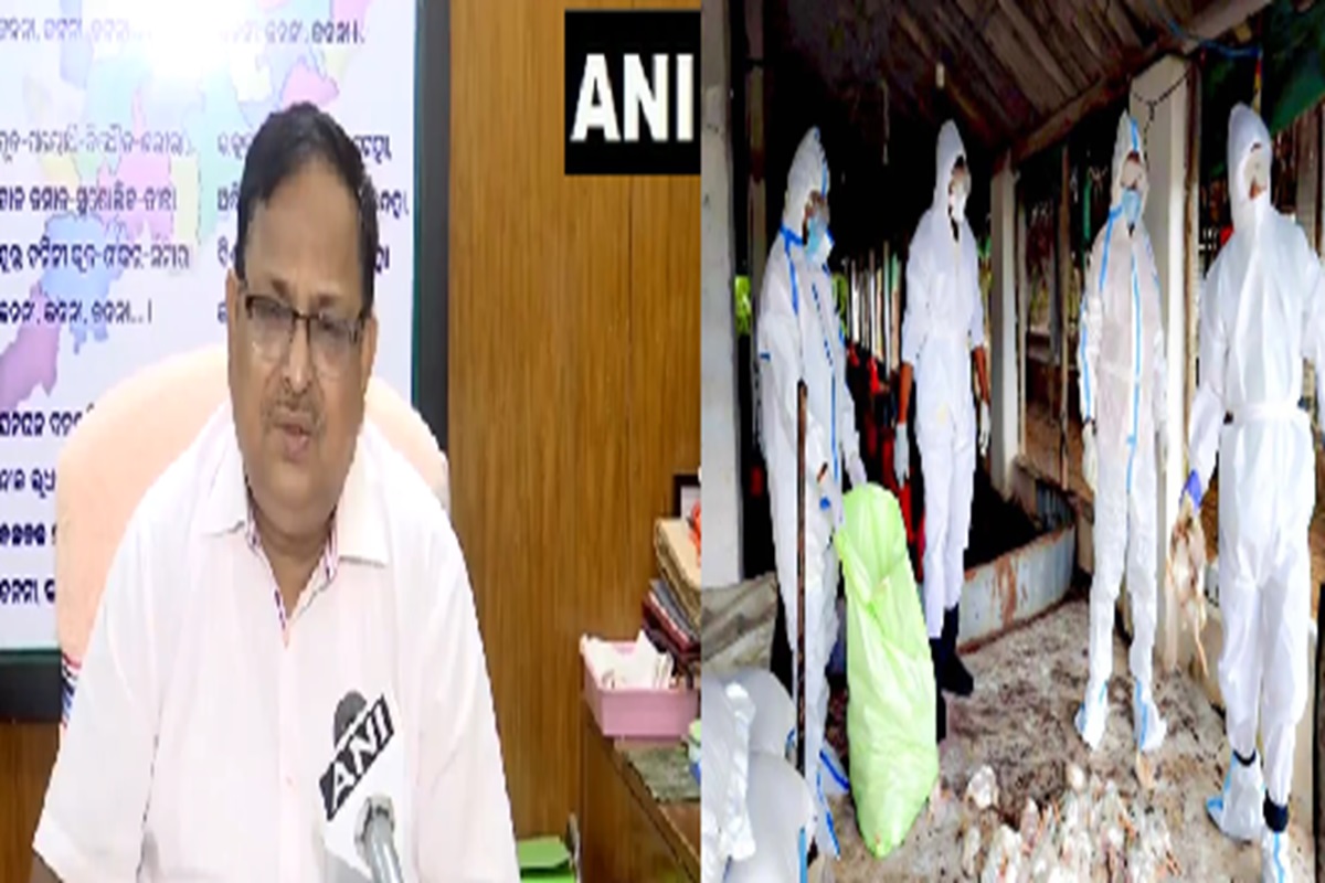Odisha Bird Flu Outbreak: सावधान…यहां तेजी से बढ़ा बर्ड फ्लू और डेंगू का खतरा, लगातार सामने आ रहे 700-800 मामले, अलर्ट जारी