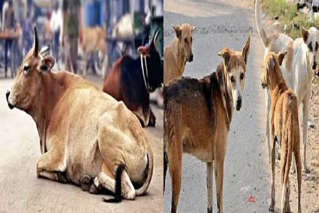 Animals Tax In Gwalior