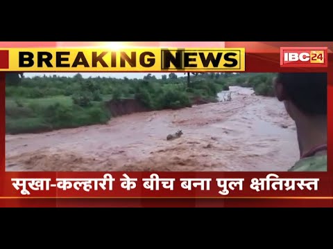 Heavy Rain in Shahdol : भारी बारिश से उफान पर नदी-नाले | सूखा-कल्हारी के बीच बना पुल क्षतिग्रस्त