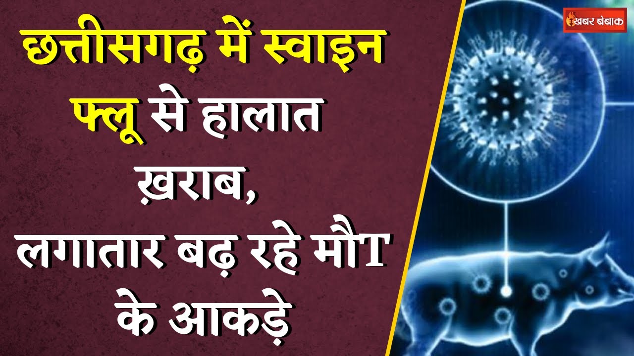 Chhattisgarh में Swine Flu से हालात ख़राब, लगातार बढ़ रहे मौT के आकड़े | CG Swine Flu Alert