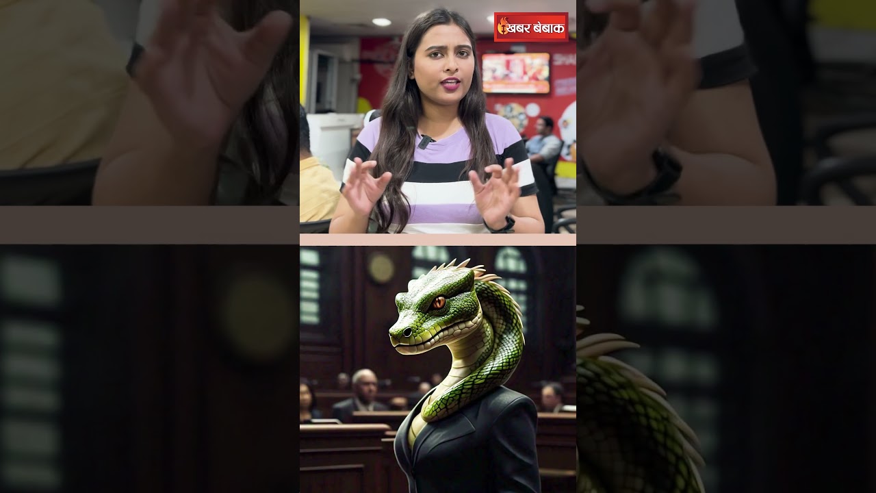 मध्य प्रदेश के इस मंदिर में लगती है सांपो की अदालत ! #shortsviral #shorts #nagpanchami