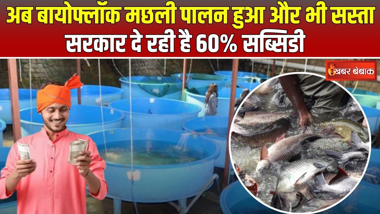 Fish Farming Subsidy: अब बायोफ्लॉक मछली पालन हुआ और भी सस्ता| सरकार दे रही है 60% सब्सिडी|जानिए कैसे