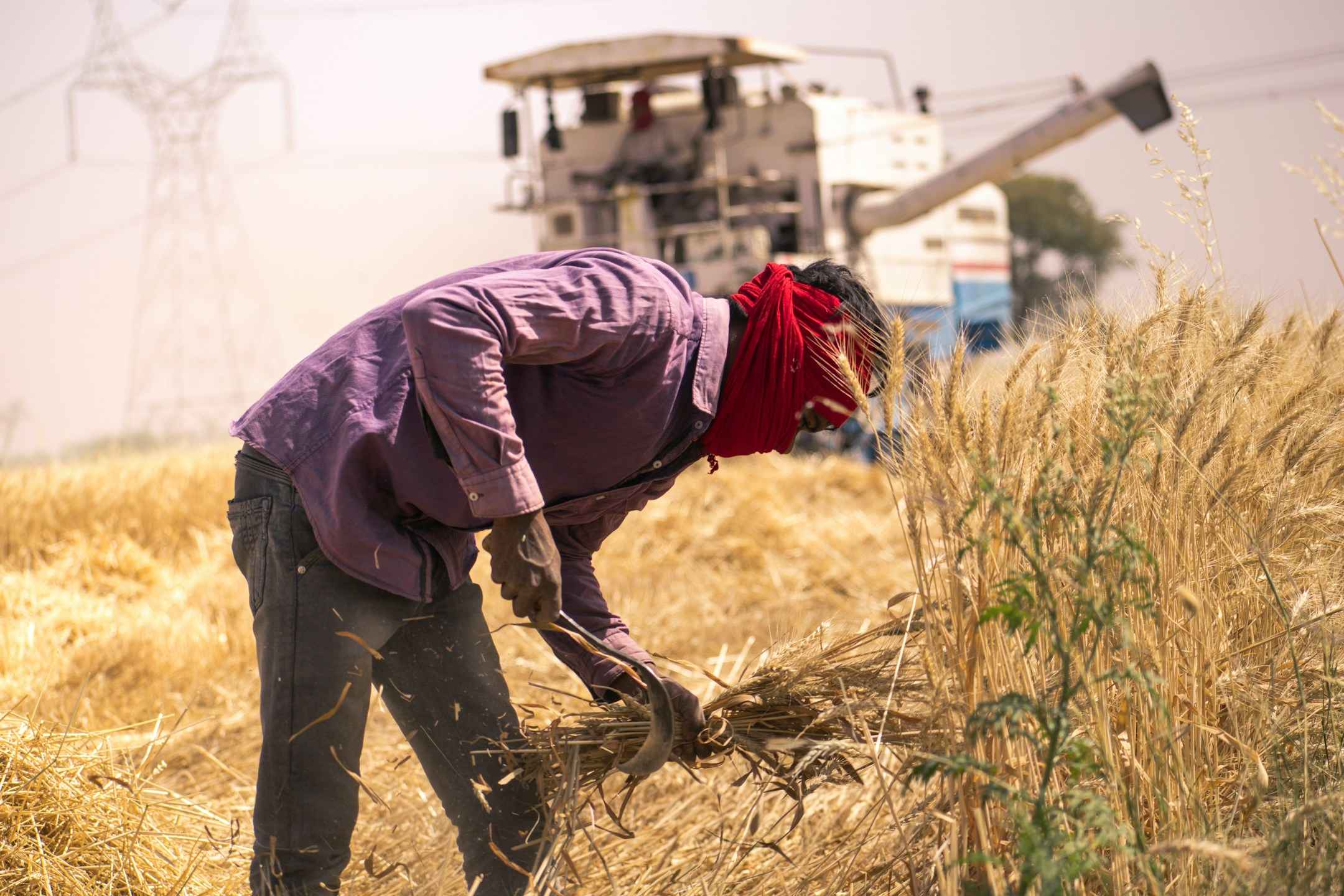 Fasal Bima Yojana Claim: फसल बीमा योजना से किसान हैरान.. किसी को 1 तो किसी को 7 रुपये की क्षतिपूर्ति.. कांग्रेस ने खोला मोर्चा..