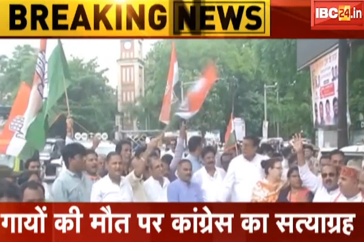 Congress Gau Satyagraha : मवेशी लेकर सड़कों पर उतरे छत्तीसगढ़ के कांग्रेसी, कहीं कलेक्ट्रेट तो कहीं SDM दफ्तर में छोड़कर लौटे, जानें ऐसा क्यों कर रही कांग्रेस