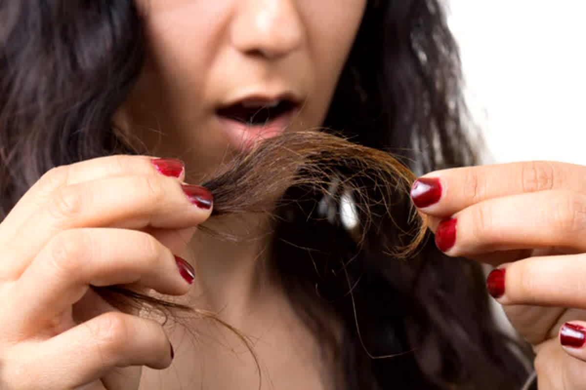 Do Muhe Baal Kaise Hataye: क्या आप भी दोमुंहे बालों से हो गए हैं परेशान? आज ही करें ये उपाय