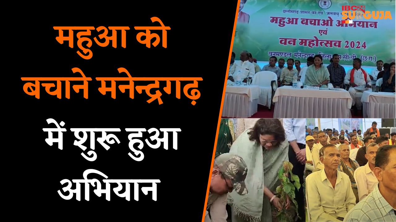 Manendragarh में महुआ को बचाने शुरू हुआ अभियान