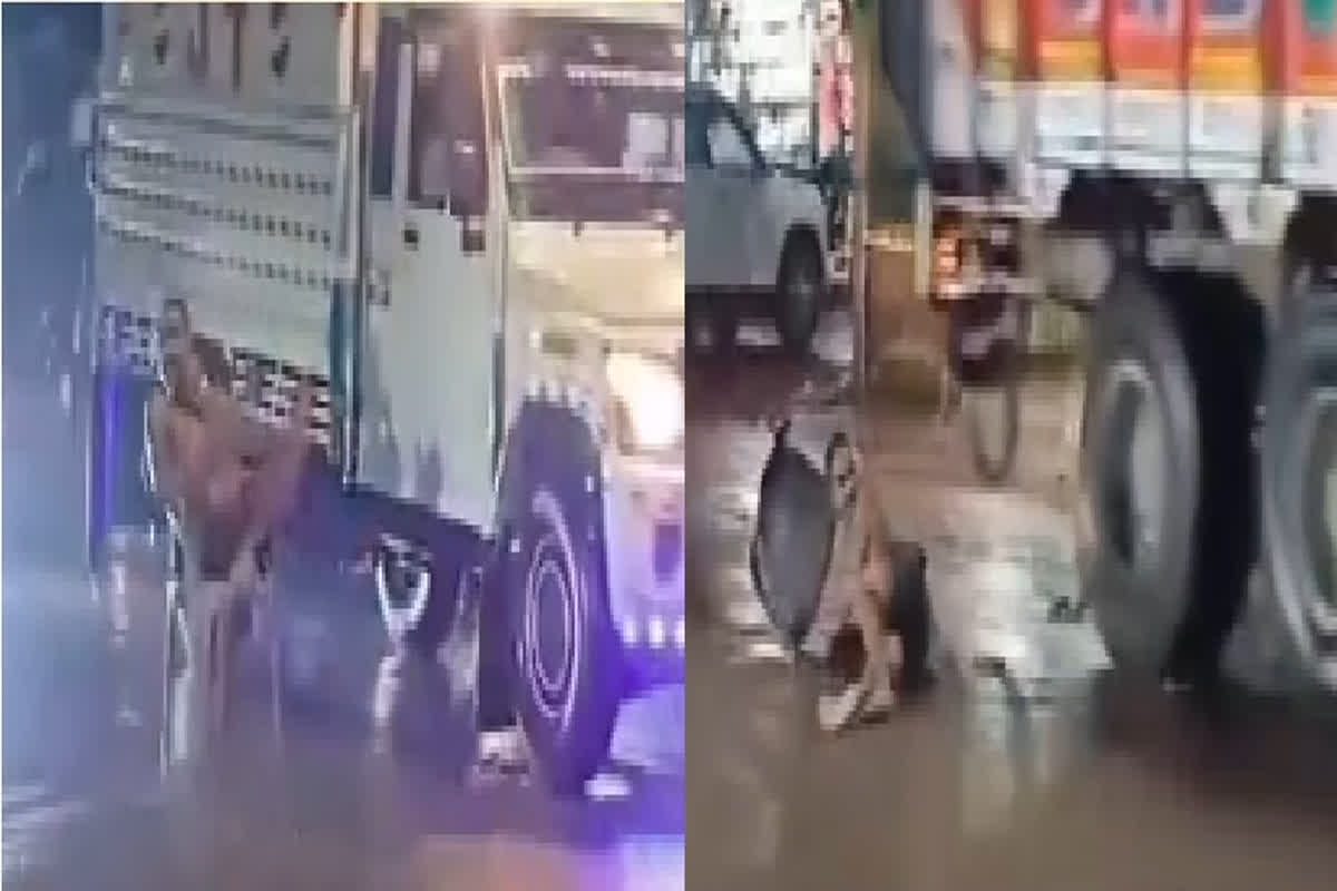 Viral Video : बीच सड़क पर कुर्सी लगाकर बैठा था युवक, पीछे से आ रहे ट्रक ने मारी टक्कर, वायरल हुआ वीडियो