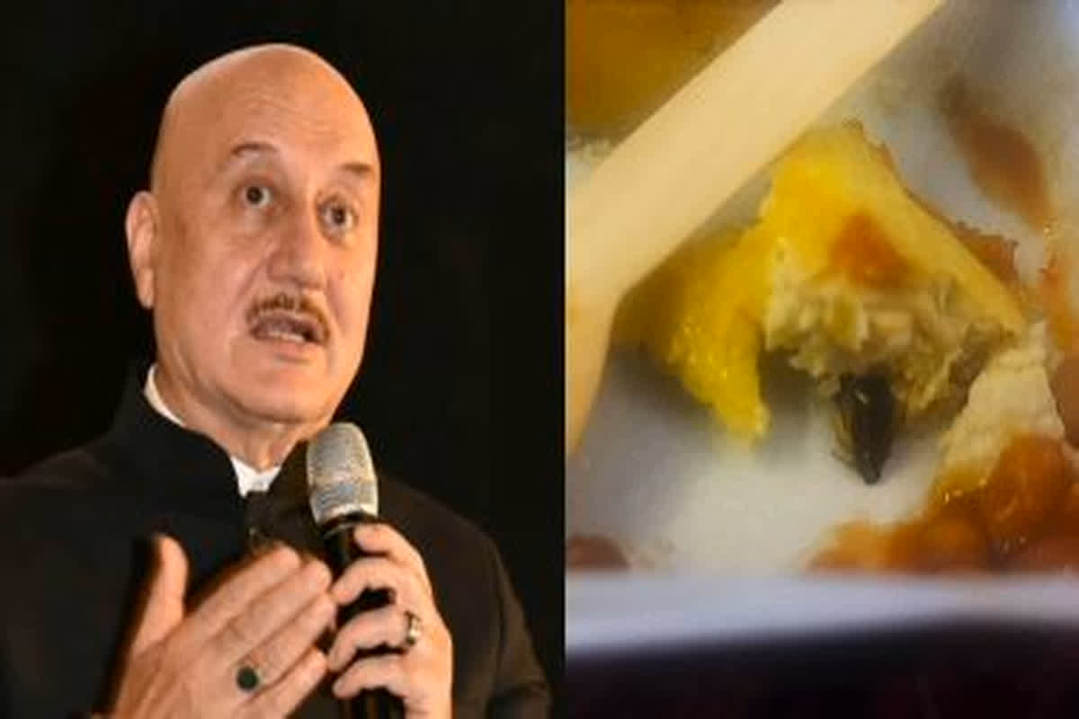 Cockroach in Air India Food : एयर इंडिया की फ्लाइट के खाने में निकला मरा हुआ कॉकरोच, लापरवाही पर आग बबूला हुए अनुपम खेर