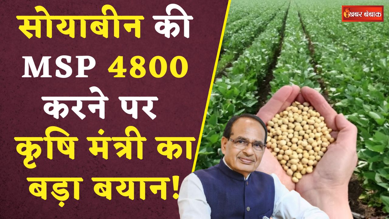 Soybean MSP Increase: लाखों किसानों के लिए खुशखबरी! एक क्विंटल बेचने पर मिलेगा इतना पैसा