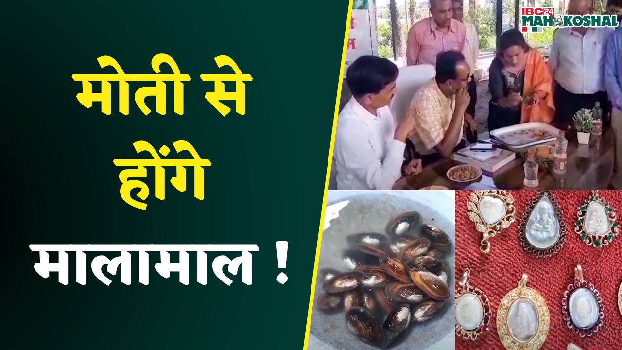 Madhya Pradesh: Chhindwara में ऐसे होगी मोती की खेती, मिलेंगे इतने ऊंचे दाम