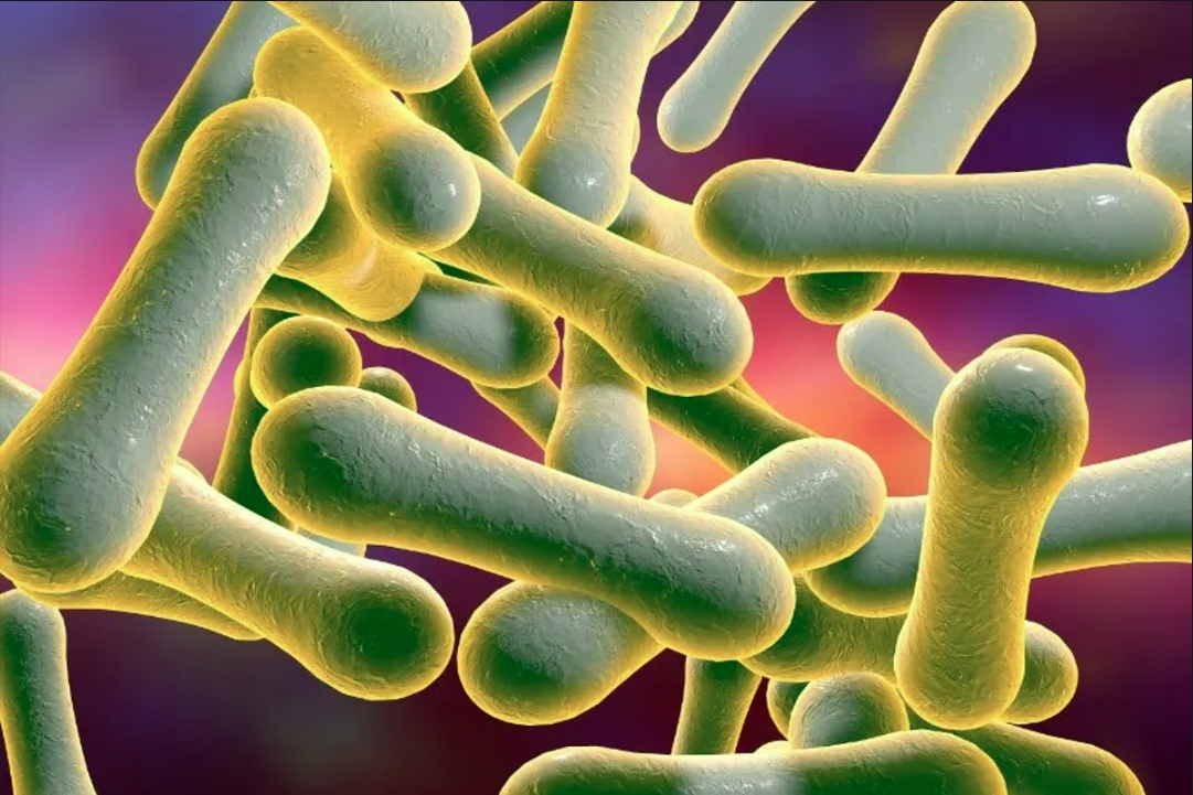 Diphtheria Disease : एमपी के इस गांव में फैली डिप्थीरिया बीमारी.. एक ही परिवार के 8 लोग बीमारी का शिकार, इलाके में दहशत का माहौल