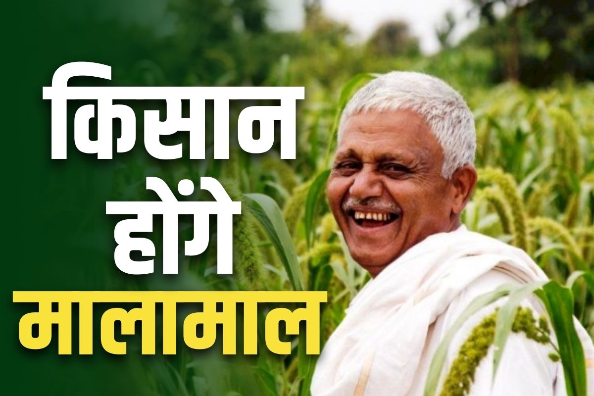Bonus to paddy farmers: धान उगाने वाले किसानों की चांदी.. सरकार ने किया MSP से अलग 500 रुपये बोनस राशि का ऐलान, कैबिनेट से भी मिल गई मंजूरी