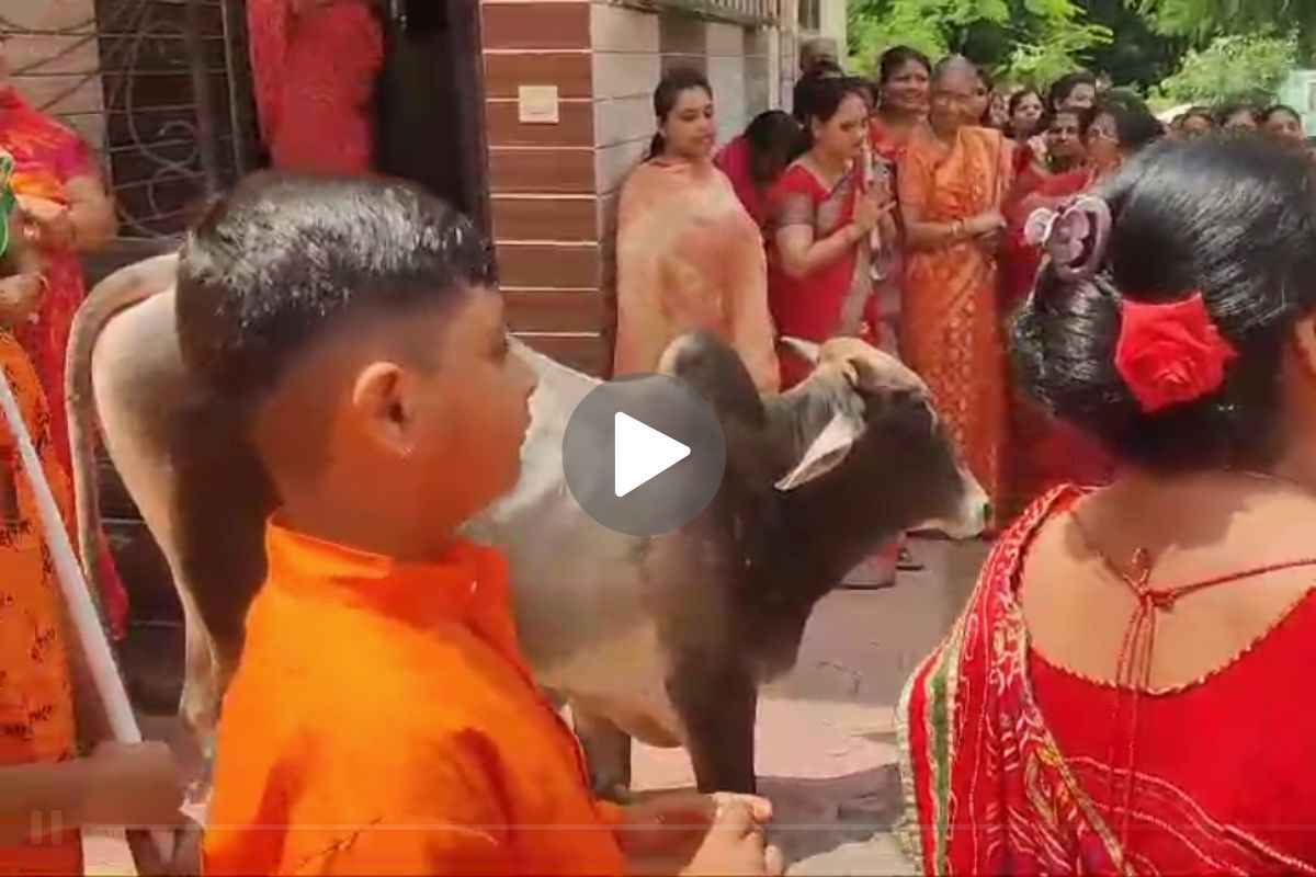 Ganesh Visarjan Video: विदा होते बप्पा को देख घुटनों के बल बैठा नंदी.. विसर्जन के दौरान इस नज़ारे को देख हर कोई है हैरान, आप भी देखें ये Video
