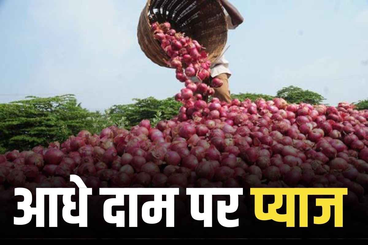 Sarkari Pyaj ka Rate Kya Hai?: यहां सरकार बेच रही आधे से भी कम कीमत पर प्याज.. क्या आपने खरीदा?.. आम खरीदारों को मिल रही है राहत
